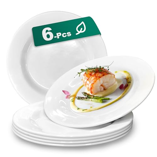 mangmong Juego De 6 10.5 Pulgadas Platos De Postre Irrompibles Ligeros - Blancos Para Cena Lavavajillas Seguro Cocina Exterior Platos Para Meriendas De Niños Regalo Para Boda Uso Cotidiano