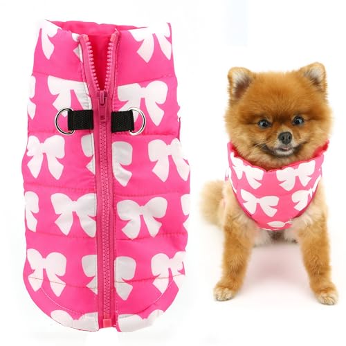 SMALLLEE_LUCKY_STORE Wasserabweisende Winterjacke für kleine Hunde und Katzen, mit Reißverschluss, gepolstert, Welpenmantel, Chihuahua, Yorkie, Kätzchen, warme Kleidung, Hot Pink, S