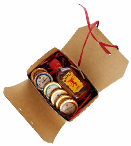 Fireball Whisky Zimt Likör 50ml Miniatur kleines Geschenk