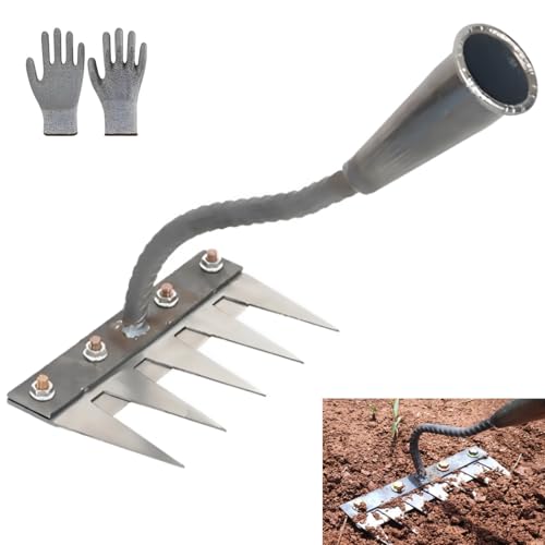 [Miflaier]2025V^ Gc[ 蓹 O\ 5/6/7/8 {c[ }K|蒅ELBF G y |pi G΍  [L 背[L _Ɨp}K|[L K[f ƒ̏/