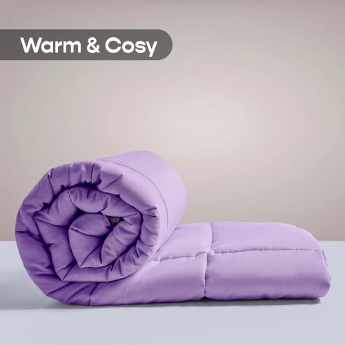 Image of SleepyCat All Season Reversible Comforter | 200 GSM Microfiber | Single Size | Purple