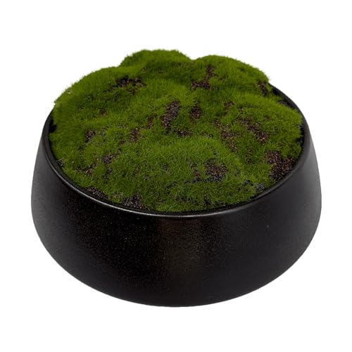 Macomine Design Moss Bowl | 8