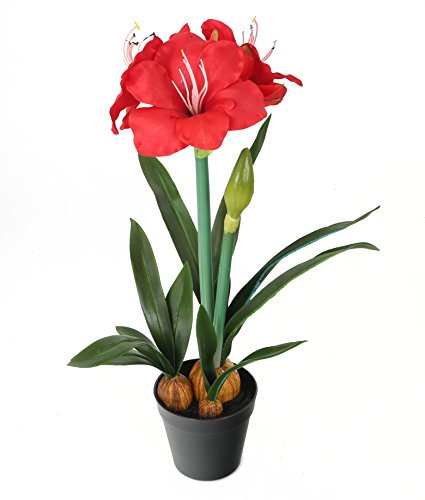 Closer 2 Nature FT033RD künstliche Blumen Künstliche Ritterstern Pflanze, 175 cm, rot