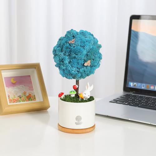 Mossever Potted Preserved Moss Blue