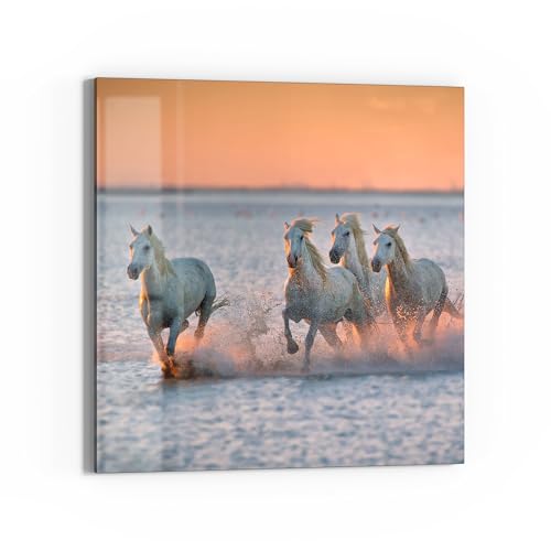 DEQORI Quadro in vetro acrilico, motivo serale libertà, quadrato, 50 x 50 cm, bella decorazione, per soggiorno, camera da letto, corridoio e cucina, decorazione moderna da parete