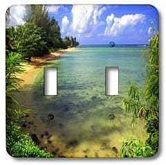 3dRose lsp_66301_2 Nature, Ocean Scene, Green, Blue, Double Toggle Switch