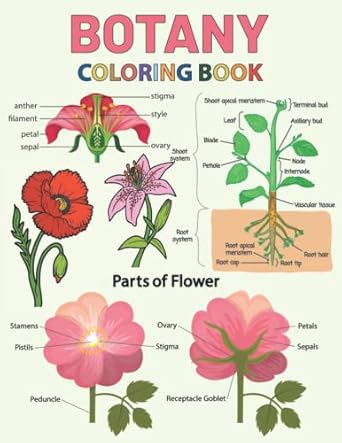 Botany Coloring Book: An Botany Coloring Book Plants ,Flowers, Leaves ...