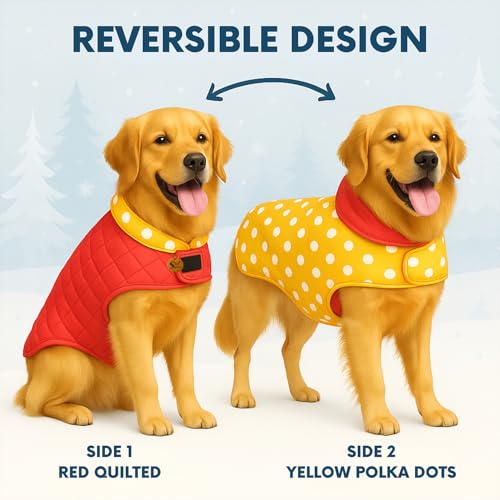 Image of Sage Square Dual-Sided Polka Dot Dog Jacket - Protective Cold-Weather Gear for Pets, Lightweight, Cushioned, Designed for Warmth & Comfort Indoors or Outside (Polka Yellow, 3XL - 24 Inch)