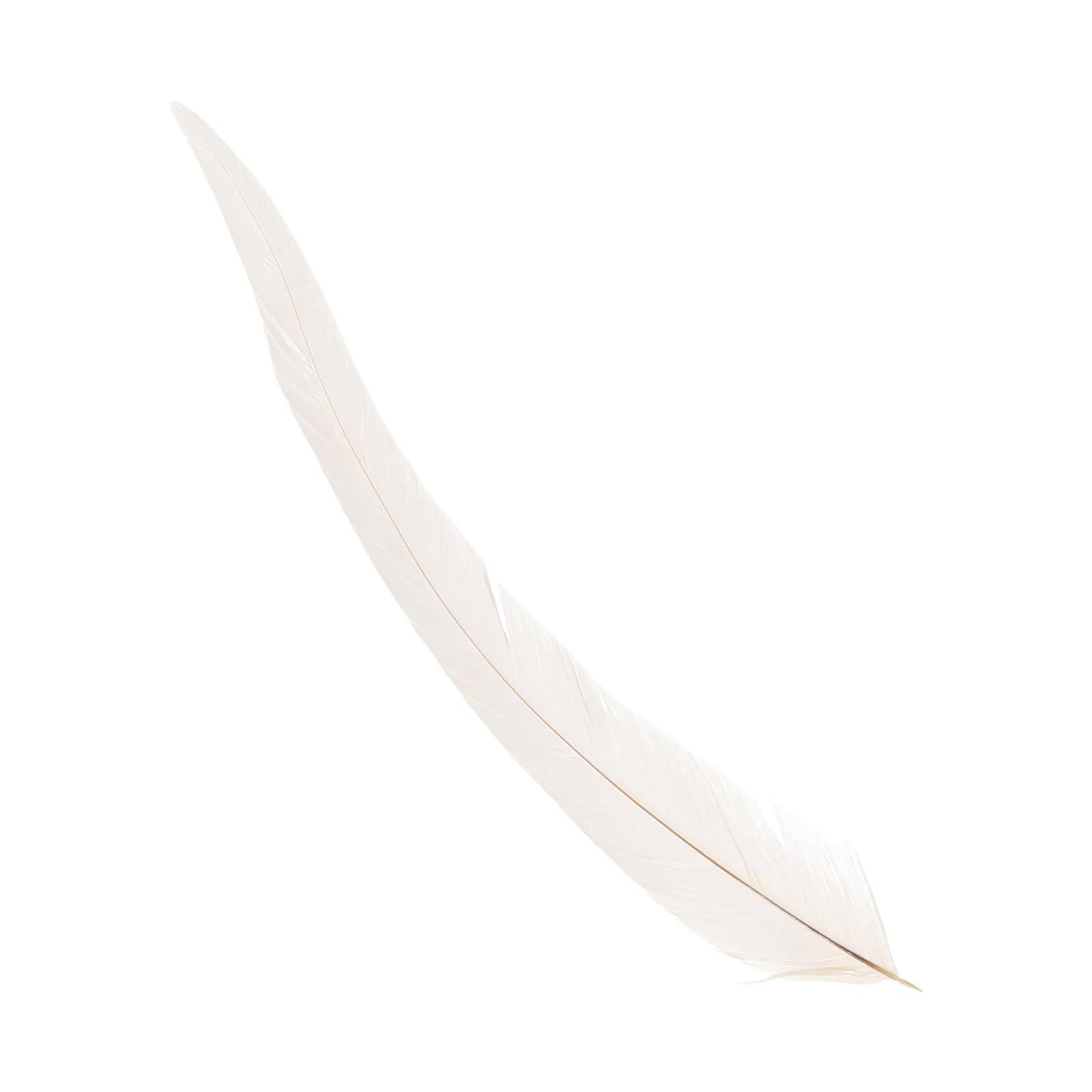 PATIKIL 10-12" Gallo Piume, 50pz Sfuso Naturale Piume per Artigianato Carnevale Lavoro Manuale Abbigliamento Costumi Matrimonio Festa Stile 1, Bianco