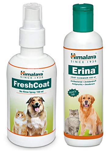 cat using litter box