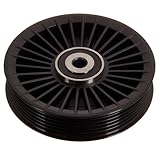 Schaeffler INA FP01081 FEAD Idler, Compatible with Mercedes-Benz CLS550 15, E250 15, E63 AMG S 15, GL550 15, GLK250 15