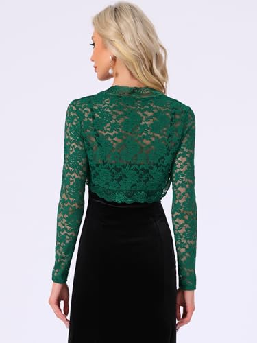 Image of Allegra K Floral Lace Bolero Shrug for Women Elegant Long Sleeve Sheer Cropped Lace Cardigan
