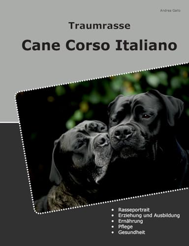 Traumrasse Cane Corso Italiano