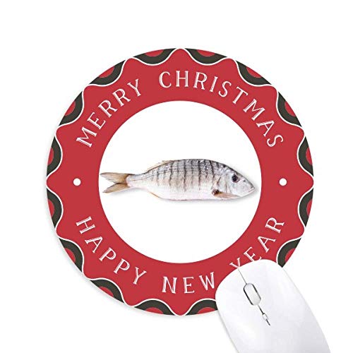 �C�m���ނ̊����� �~�`����S���̃N���X�}�X�}�E�X�p�b�h