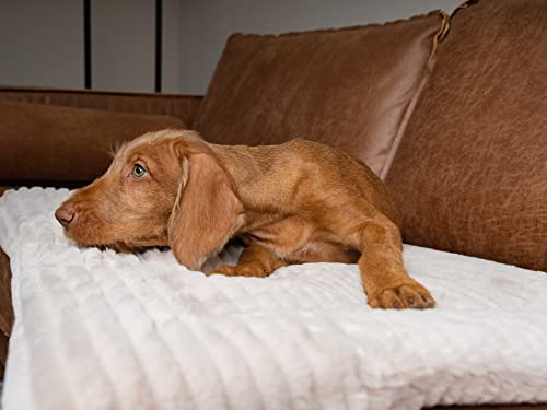 TrendPet Harmony 4cm gefütterte Hundedecke, Katzendecke, Liegedecke für Hunde und Katzen (Creme, 90x65cm)