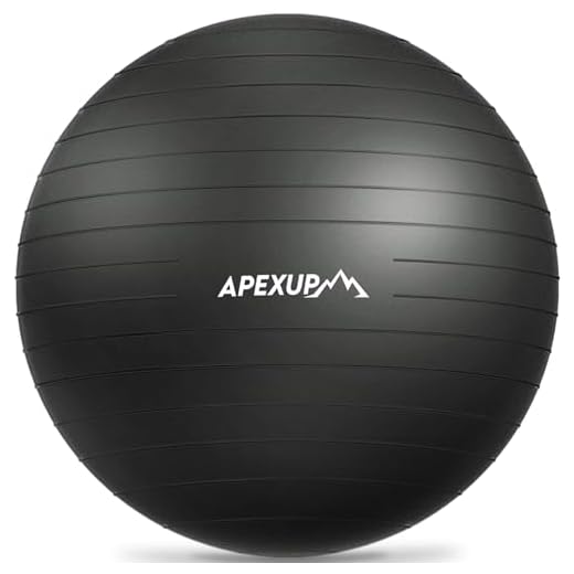 APEXUP Heavy Duty Yoga Exercise Ball