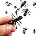 Joliy Formiche simulate Scherzo Giocattolo Halloween Scherzo Puntelli Animale Divertente Realistico per Bambini Bambini Forniture per Feste di Halloween