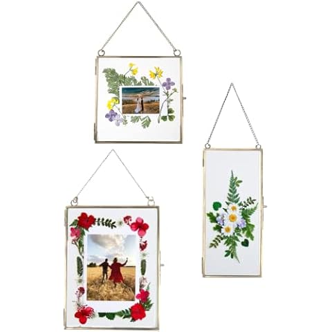 Double Glass Frame for Pressed Flowers, Leaf and Artwork - Set of 3 Hanging Picture Frames, 6x6, 6x8, 4x9 Floating Pressed Flower Frames, Square and Rectangular Wall Decor Photo Display, Clear Metal Cover