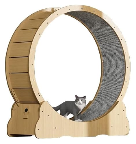 Lpgbh~CLbgzC[ C Ľʂ̂߂̔LpzC[A]鋆ɂ̔LpjOzC[tFXALɉ^񋟂(Inner Diameter90cm/35.4")