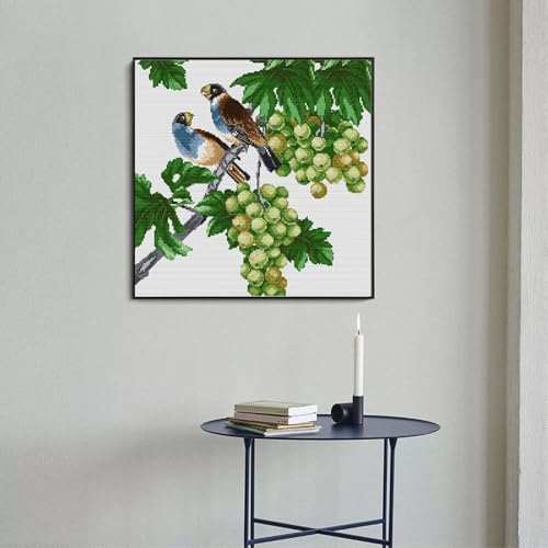 Image of Stamped Cross Stitch Kits Full Range of DIY Needlepoint for Adult Beginners Pattern, for Gift and Home Decor 14CT 2 Strands Two Parrots 5,15x15 inch