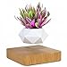 Babook Levitating Air Bonsai Pot, Cool Stuff,Rotation Flower Pot Planters, Potted Plant Home Desk Decor in Flower Pots & Planters from Home & Garden on (Light Color)