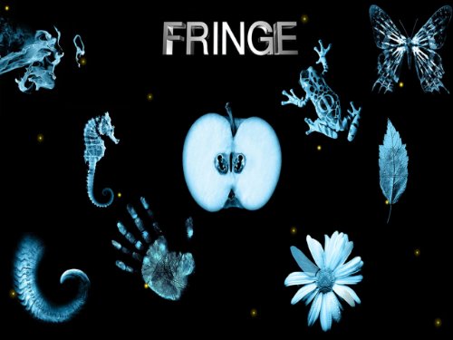  Fringe: La serie completa