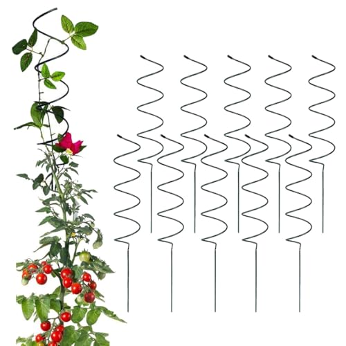 Lot de 10 piquets en spirale pour plantes grimpantes et tomates