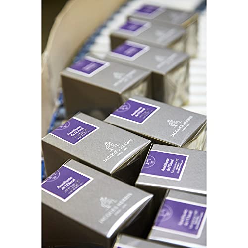 Herbin 15579JT - Inchiostro pigmentato Argento