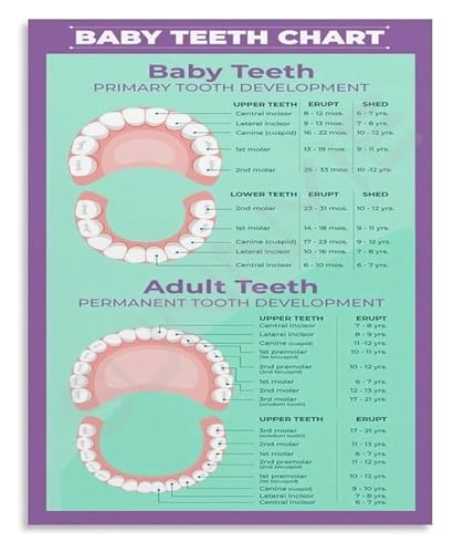 Educational Baby Teeth Chart Eruption Timeline and Teething Guide Development Poster Canvas Print Wall Art for Childs Room(Frame