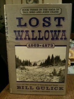 Hardcover Lost Wallowa (Saga of Tall Bird and John Crane, Book 3) Book