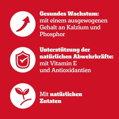 Pedigree DOGCARE Hundefutter Portionsbeutel Chunks in Gelee Junior 4 x 12 x 100g