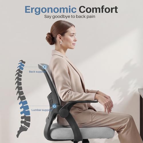 Image of DUMOS Home Office Chair, Computer Desk Chair, Lumbar Support