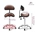 Kaleurrier Saddle Stool Rolling Swivel Height Adjustable with Wheels,Heavy Duty Anti-Fatigue Ergonomic Saddle Chair for Hair Beauty Salon Lab Dental Massage Office Home Kitchen (with Back, Coffee)