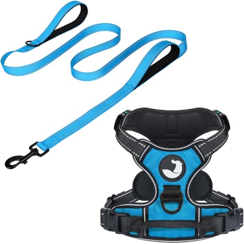 6FT Double Handle Dog Leash for Training and Dog Harness (Chest: 17-34"), Reflective Leashes for Medium Dogs and Adjustable Soft No Pull Harness (Sky Blue,L)