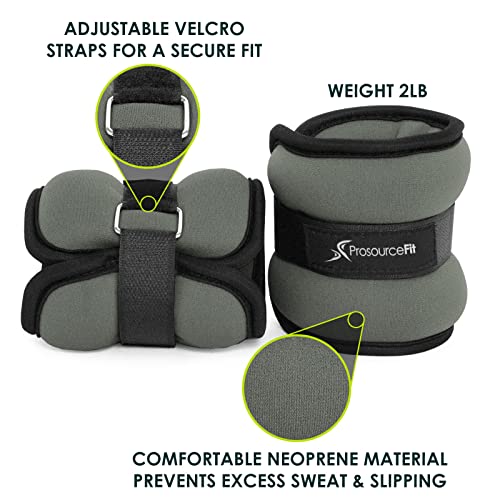 Prosourcefit Ankle Wrist Weights 2 Lb. - Grey, Ps-1232-Aw-Grey #TOP2