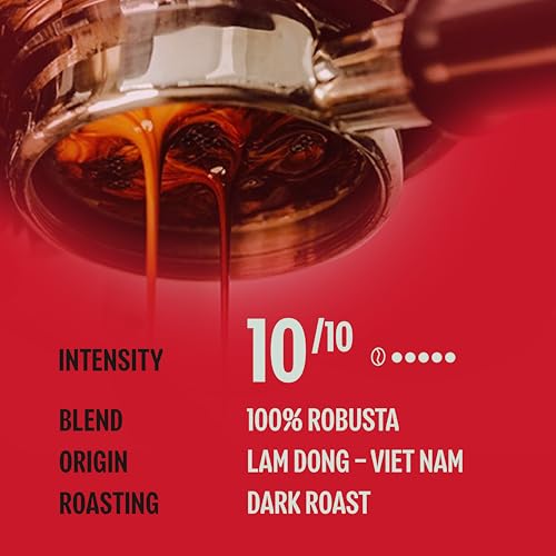 BAZAN COFFEE - Too Strong Robusta Vietnamese Whole Bean Coffee Dark Roast, Single Origin, High Caffeine & Low Acid Coffee, Bold Espresso Coffee Beans for Espresso Lovers, Full Bodied Flavor - 32oz Bag