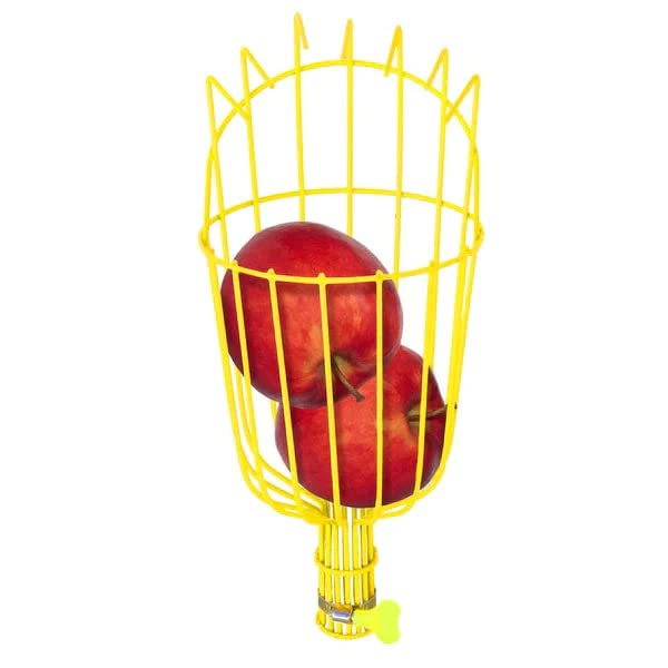 Urban Plant Fruit Reacher Fruit Picker/Harvesting & Plucking Tools (B0C23C2HFV) Amazon Price History, Amazon Price Tracker