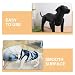 Hund Schaufensterpuppe 2st Haustierbekleidungsmodell Stehender Aufblasbarer Hund Haustier Schaufensterpuppe Stehende Aufblasbare Hunde Für Hundekleidung Stehendes Hundemodell PVC