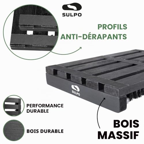 SULPO Grattoir à chaussures extérieur – Brosse à chaussures robuste, résistante aux intempéries, antidérapante, poils extra durs pour la boue, le sable, la neige, couleur noire – vue 4