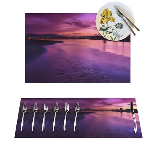 Sets de table violets lavables pour en finir avec les taches de cuisine - 2