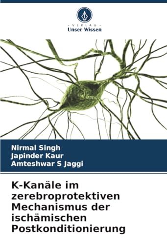 K-Kanäle im zerebroprotektiven Mechanismus der ischämischen Postkonditionierung
