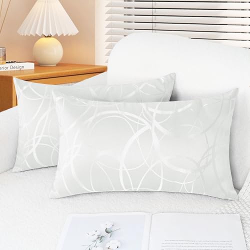 CaliTime Throw Pillow Covers Pack of 2 Modern Shining & Dull Contrast Circles Rings Accent Geometric Cushion Cases Shells for Wedding Couch Sofa Home Decor 12 X 20 Inches White