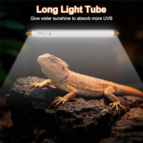 Image of UVB Light for Reptiles Bearded Dragon, 2 Pack T5 UVB Reptile Light UVB Bulb 10.0 8W UVA UVB Reptile Light Bulb Terrarium Light Lamp Tube for Turtle Chameleon Leopard Gecko Snake Tank, 12 Inch