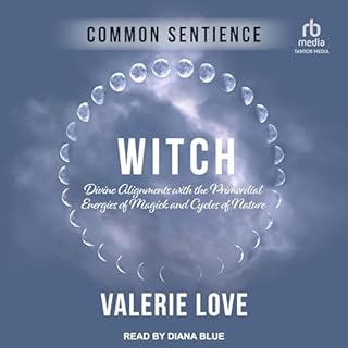 Witch Audiolibro Por Valerie Love arte de portada