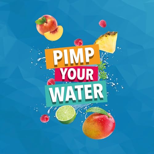 Best Body Nutrition Vital Drink ZEROP® - Zitrone-Limette, Original Getränkekonzentrat - Sirup - zuckerfrei, 1:80 ergibt 80 Liter Fertiggetränk, 1000 ml (2er Pack)