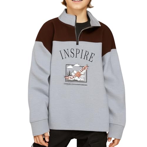 Xumplo Boys Sweatshirt Jumpers Kids Long Sleeve Half-zip Pullover Hoodie Teens Hawk Tops Fall Winter Clothing 8-10 Years Grey