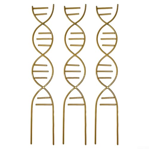 Besttoolifes DNA Cadre d'escalade en métal pour plantes grimpantes d'intérieur et d'extérieur pour plantes en pot, lierre pothos, design décoratif en spirale (doré)