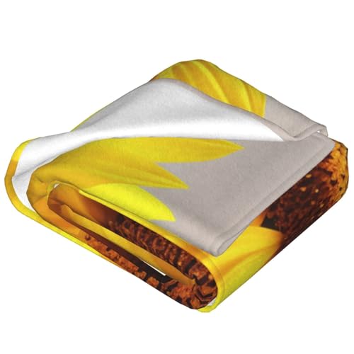 Couverture flanelle haut de gamme jeté de canapé microfibre doux