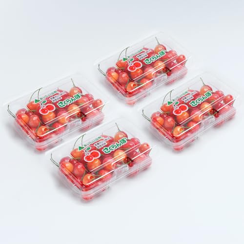 先行予約 2026年産 さくらんぼ 佐藤錦 秀Mサイズ 720g(180gx4パック) フードパック 令和8年産 山形県産 ns-snsmp800