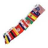 Flaggen für das eines teenagers: die flaggen der welt sind lebendig und klar gedruckt, können zu jeder jahreszeit verwendet werden, internationales flaggenbanner